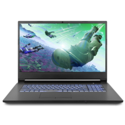 BTO Gaming Laptop in 17,3"inch met Intel Core i7 9750H , 32 GB RAM en Nvidia Geforce GTX 1660ti @ 6 GB
