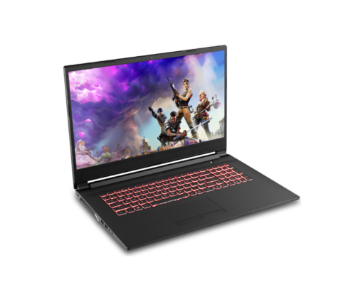 BTO Gaming Laptop in 17,3"inch met Intel Core i7 9750H , 32 GB RAM en Nvidia Geforce GTX 1660ti @ 6 GB - Afbeelding 2